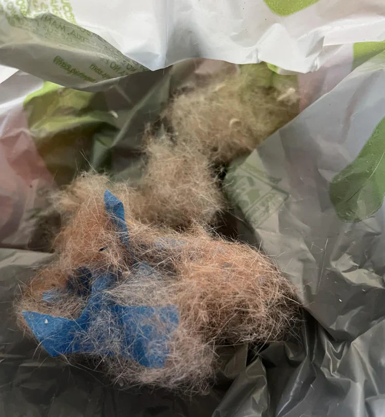 Review by Freya Bennett