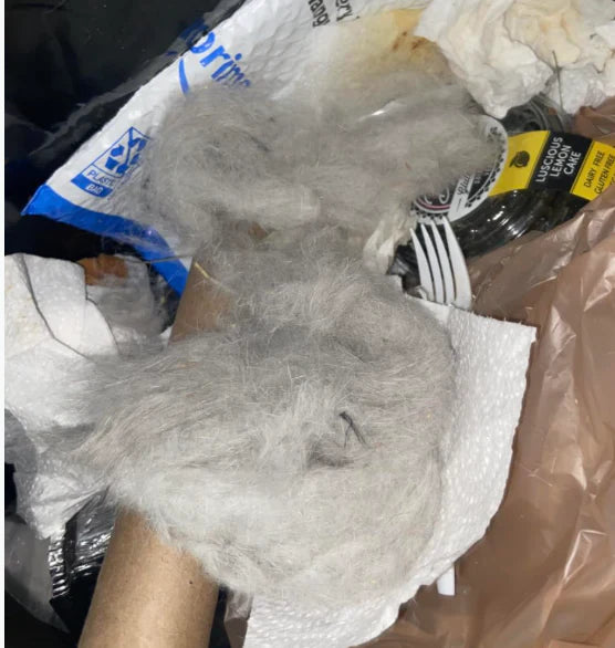 Review by Vaidegee CUNNEAPEN