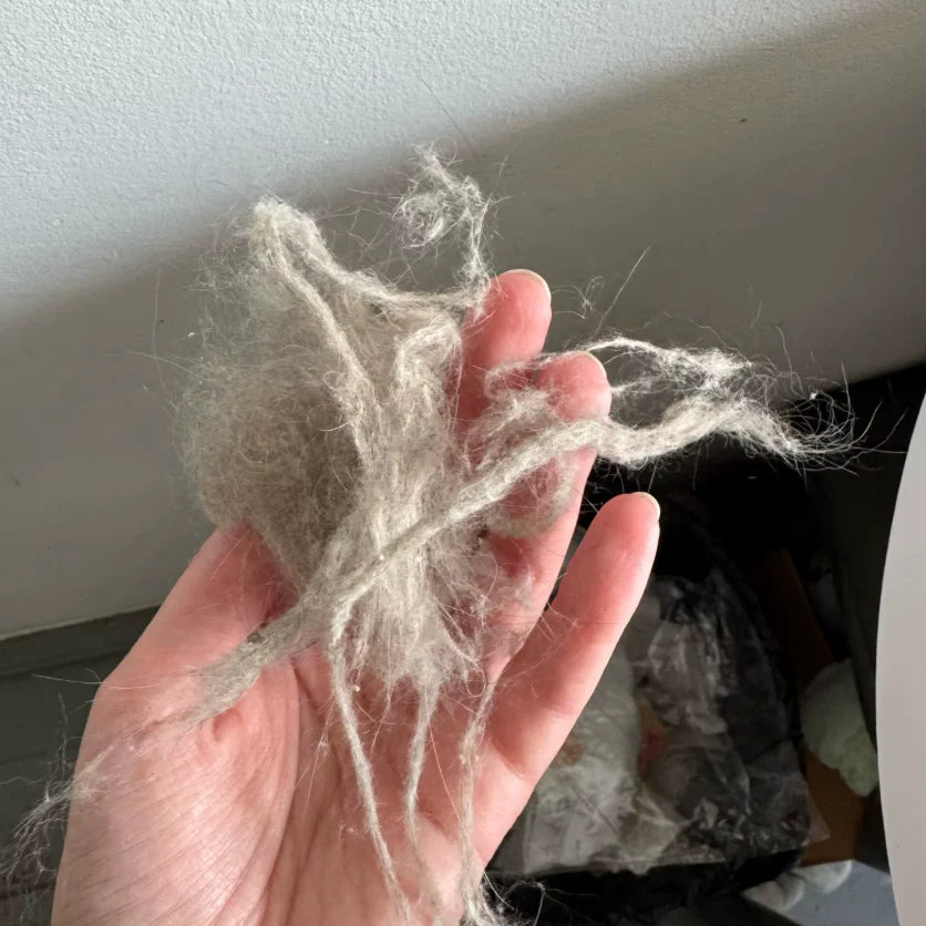 Review by Angela Calway