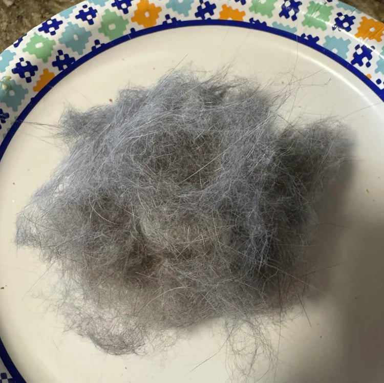 Review by Maria Feldmann