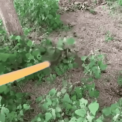 Feature product image