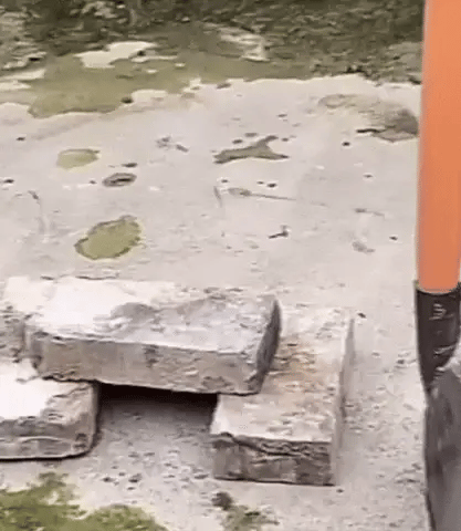 Meet the S70 PRO MultiTool Shovel –