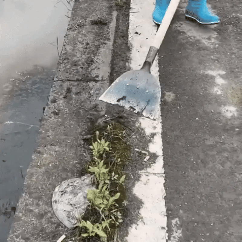 Dig Smarter.