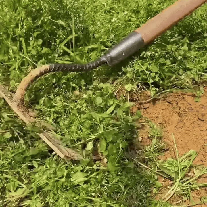 Garden Like a Pro &