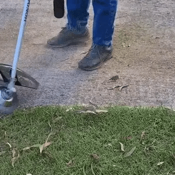 Meet the ST60 PRO –