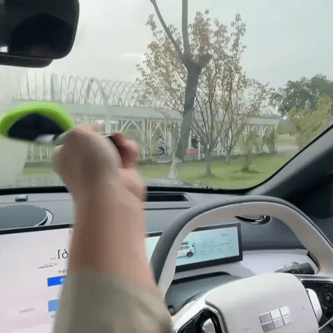 Favourite Windscreen